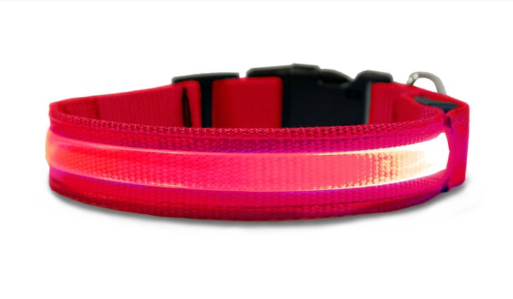 FurGrip™ USB LED Dog Collar