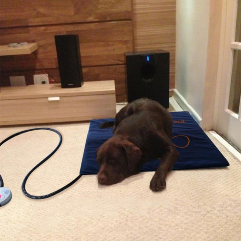 Pet Electric Heating Pad (Private Listing)