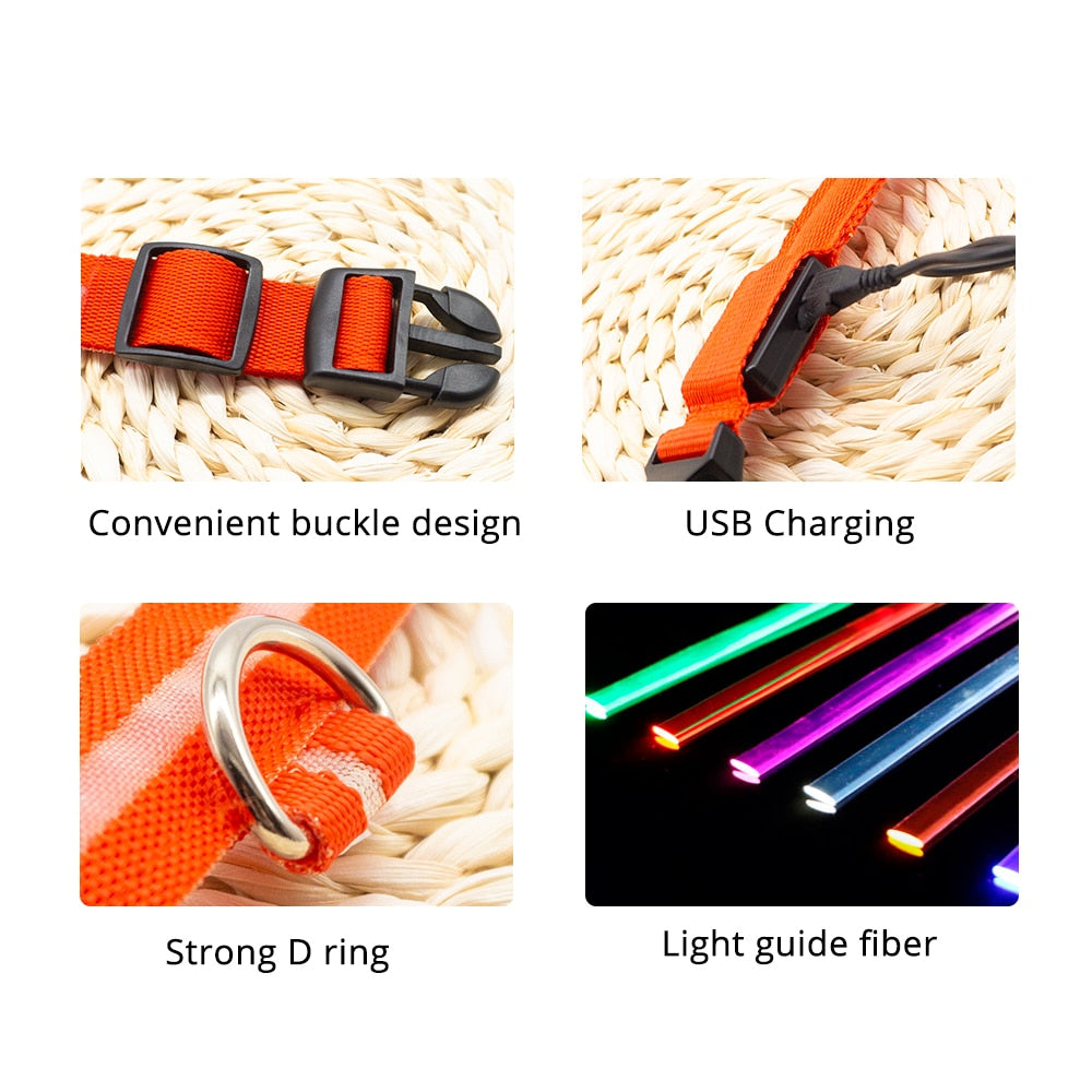 FurGrip™ USB Charging Led Dog Collar