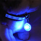 FurGrip™  LED Pet Dog Collar Pendant