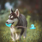 FurGrip™ Interactive Dog Treat Ball 
